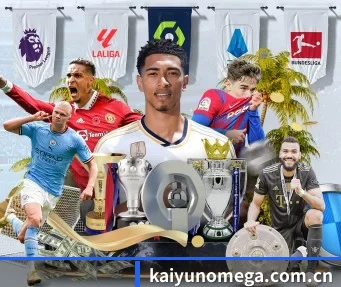 kaiyunomega.com.cn APP